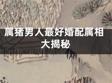 属猪男人最好婚配属相大揭秘