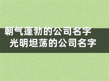 朝气蓬勃的公司名字 光明坦荡的公司名字