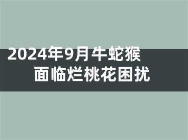 2024年9月牛蛇猴面临烂桃花困扰