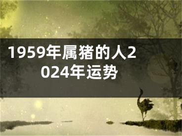 1959年属猪的人2024年运势