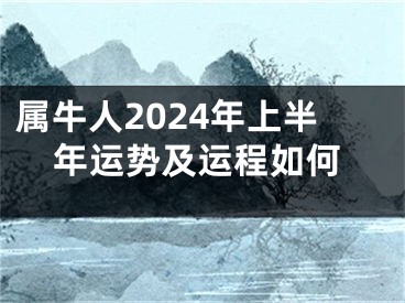 属牛人2024年上半年运势及运程如何