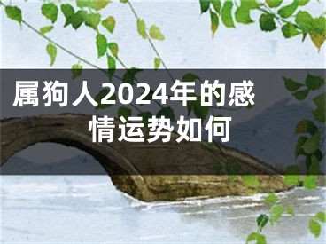 属狗人2024年的感情运势如何