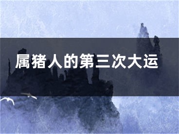 属猪人的第三次大运