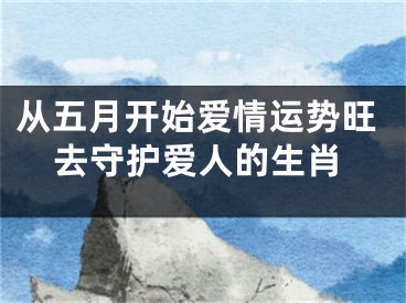 从五月开始爱情运势旺去守护爱人的生肖
