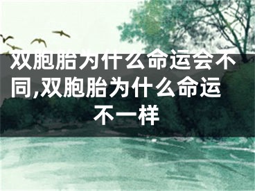 双胞胎为什么命运会不同,双胞胎为什么命运不一样