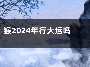 猴2024年行大运吗