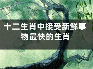 十二生肖中接受新鲜事物最快的生肖