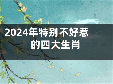 2024年特别不好惹的四大生肖