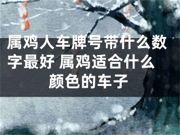 属鸡人车牌号带什么数字最好 属鸡适合什么颜色的车子