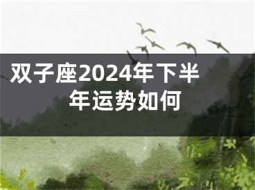 双子座2024年下半年运势如何