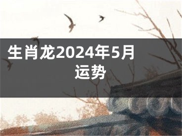 生肖龙2024年5月运势