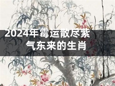 2024年霉运散尽紫气东来的生肖