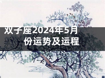 双子座2024年5月份运势及运程