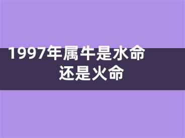 1997年属牛是水命还是火命