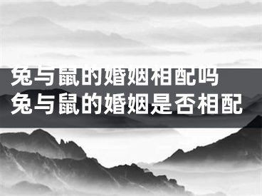 兔与鼠的婚姻相配吗 兔与鼠的婚姻是否相配