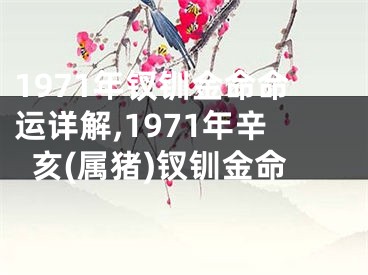 1971年钗钏金命命运详解,1971年辛亥(属猪)钗钏金命