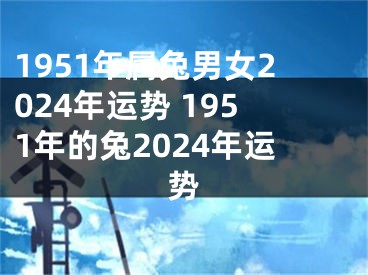 1951年属兔男女2024年运势 1951年的兔2024年运势