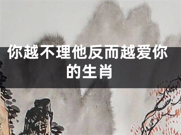 你越不理他反而越爱你的生肖