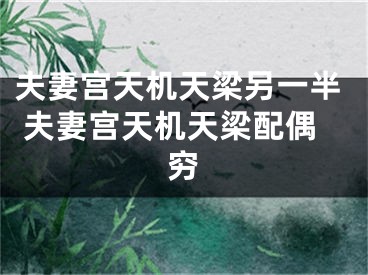 夫妻宫天机天梁另一半 夫妻宫天机天梁配偶穷