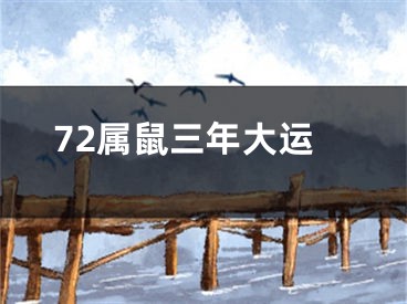 72属鼠三年大运