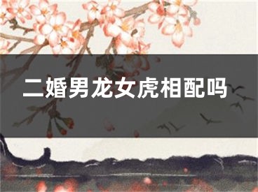 二婚男龙女虎相配吗