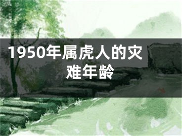 1950年属虎人的灾难年龄