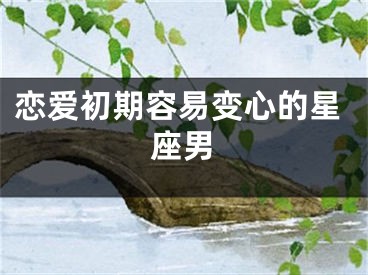 恋爱初期容易变心的星座男
