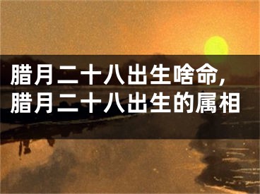 腊月二十八出生啥命,腊月二十八出生的属相
