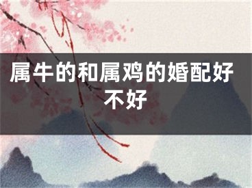 属牛的和属鸡的婚配好不好
