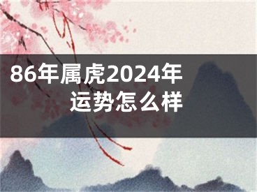 86年属虎2024年运势怎么样