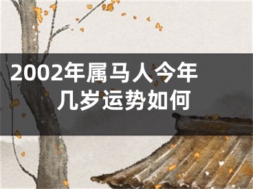 2002年属马人今年几岁运势如何
