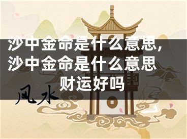 沙中金命是什么意思,沙中金命是什么意思 财运好吗