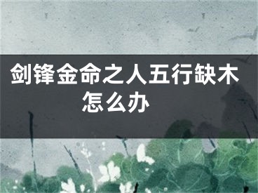 剑锋金命之人五行缺木怎么办 