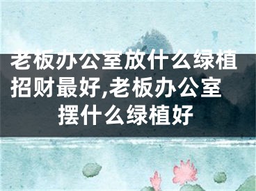 老板办公室放什么绿植招财最好,老板办公室摆什么绿植好