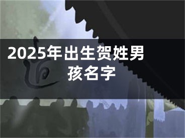 2025年出生贺姓男孩名字