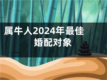 属牛人2024年最佳婚配对象