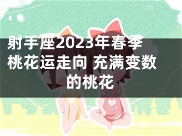 射手座2023年春季桃花运走向 充满变数的桃花
