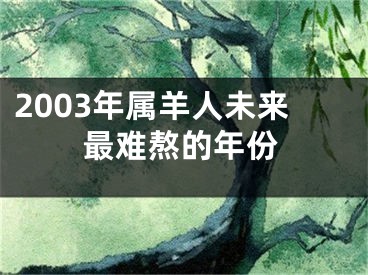 2003年属羊人未来最难熬的年份