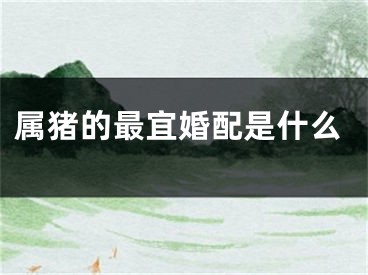 属猪的最宜婚配是什么