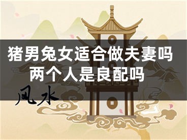 猪男兔女适合做夫妻吗 两个人是良配吗