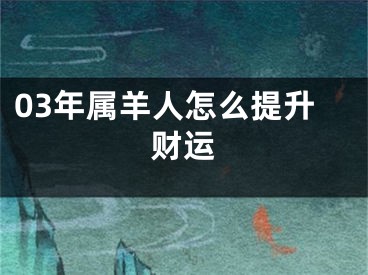 03年属羊人怎么提升财运