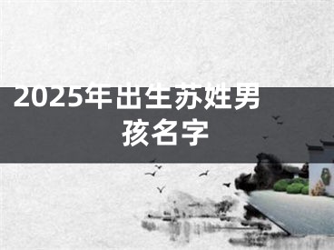 2025年出生苏姓男孩名字