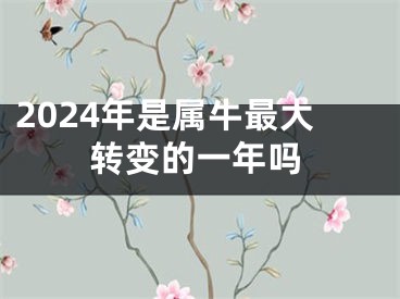 2024年是属牛最大转变的一年吗