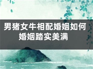 男猪女牛相配婚姻如何 婚姻踏实美满