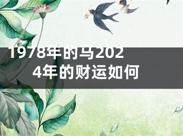 1978年的马2024年的财运如何