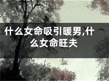 什么女命吸引暖男,什么女命旺夫