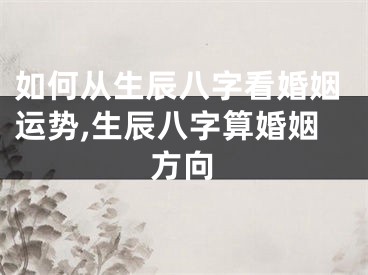 如何从生辰八字看婚姻运势,生辰八字算婚姻方向