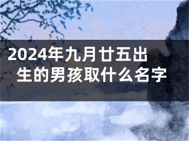 2024年九月廿五出生的男孩取什么名字