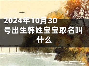 2024年10月30号出生韩姓宝宝取名叫什么