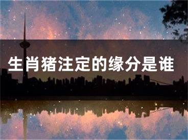 生肖猪注定的缘分是谁